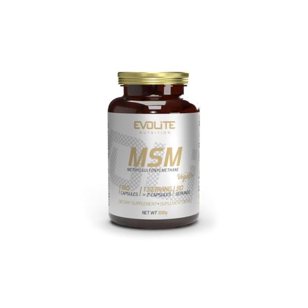Evolite Nutrition MSM